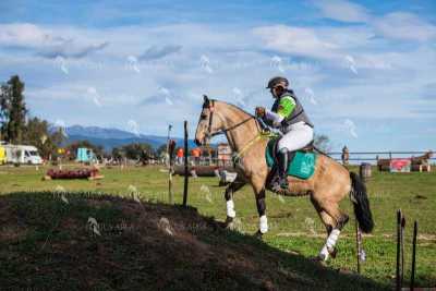 TREC02-06082024-540