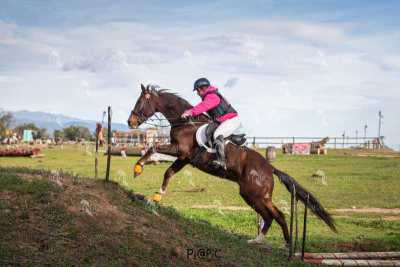 TREC02-06082024-541