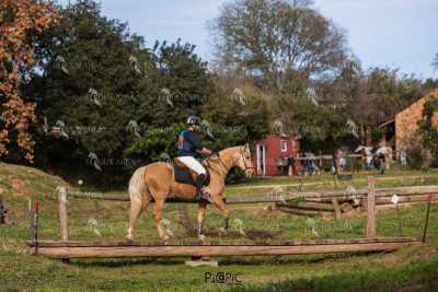 TREC02-06082024-542