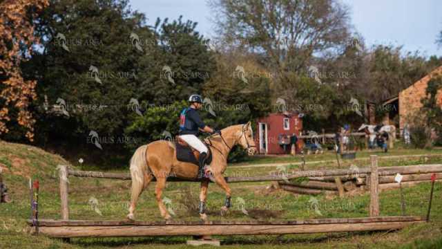 TREC02-06082024-542