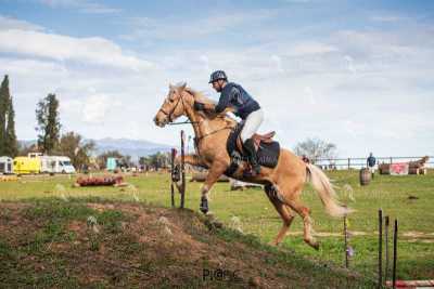 TREC02-06082024-543