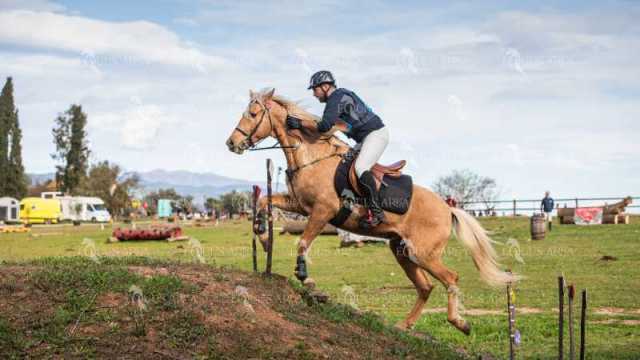 TREC02-06082024-543