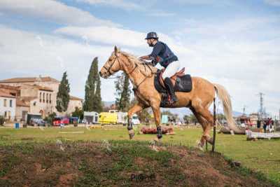 TREC02-06082024-544