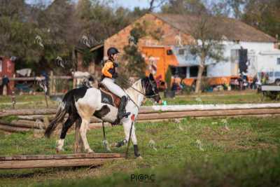 TREC02-06082024-545