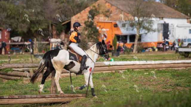 TREC02-06082024-545
