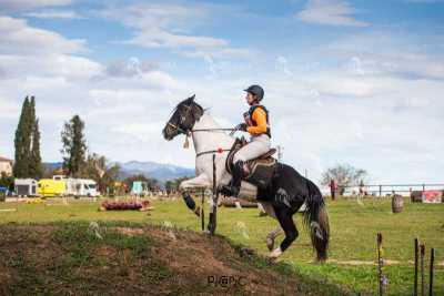 TREC02-06082024-546