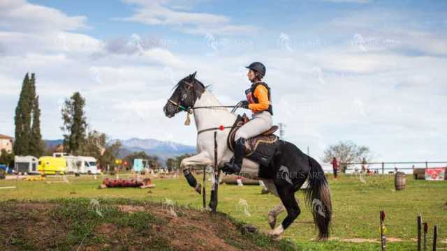TREC02-06082024-546