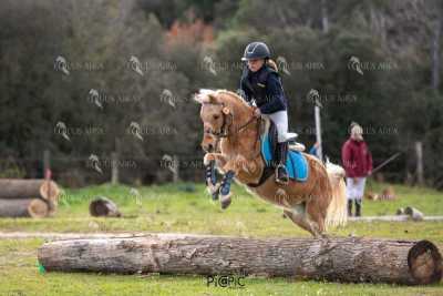 TREC02-06082024-547