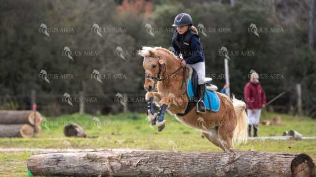 TREC02-06082024-547