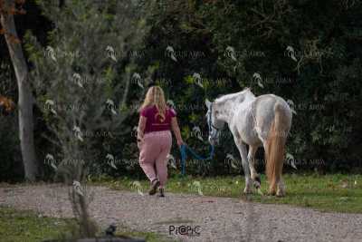 TREC02-06082024-548