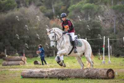 TREC02-06082024-549