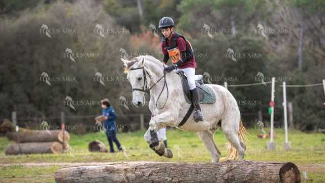 TREC02-06082024-549