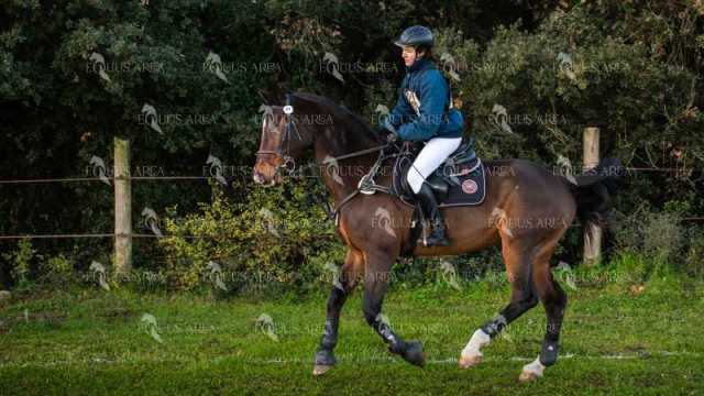 TREC02-06082024-55