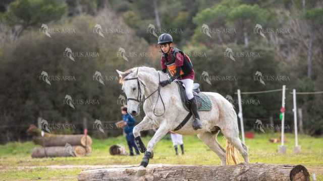 TREC02-06082024-550