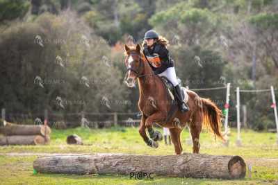 TREC02-06082024-551