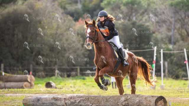TREC02-06082024-551