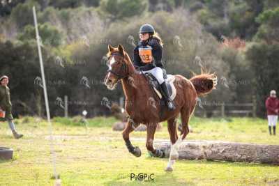 TREC02-06082024-552