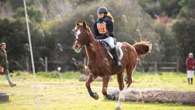 TREC02-06082024-552