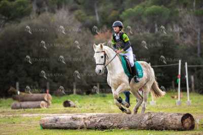 TREC02-06082024-553