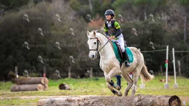 TREC02-06082024-553