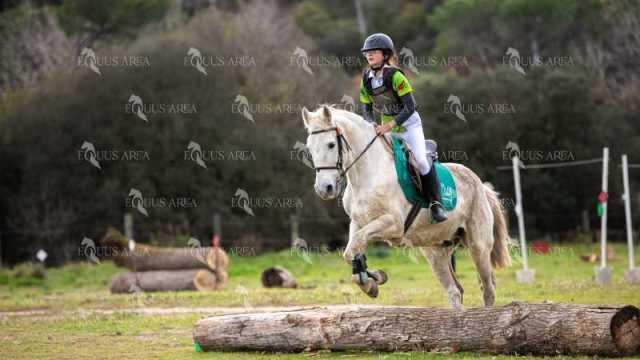 TREC02-06082024-554