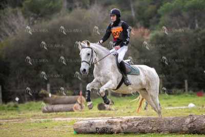 TREC02-06082024-556
