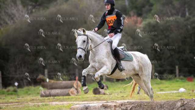 TREC02-06082024-556