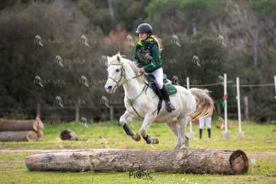 TREC02-06082024-557