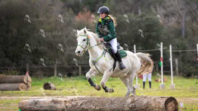 TREC02-06082024-557