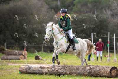 TREC02-06082024-558