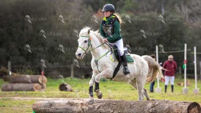TREC02-06082024-558