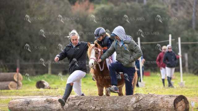 TREC02-06082024-559