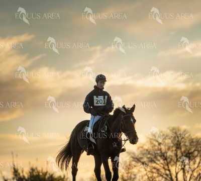 TREC02-06082024-56
