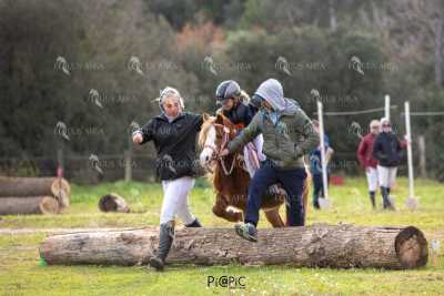 TREC02-06082024-560