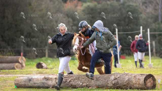 TREC02-06082024-560