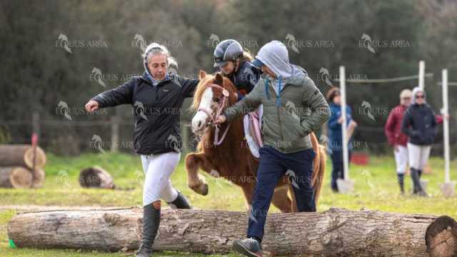 TREC02-06082024-561