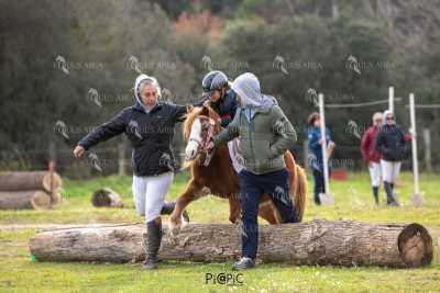 TREC02-06082024-562