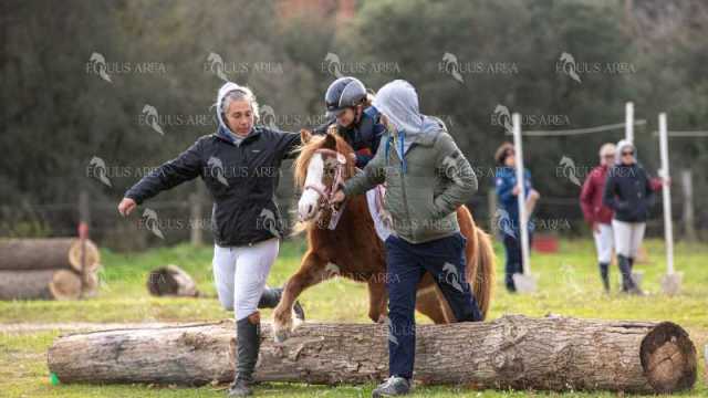 TREC02-06082024-562