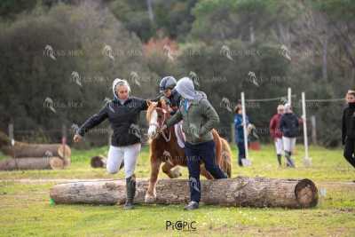 TREC02-06082024-563