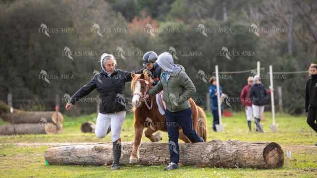 TREC02-06082024-563
