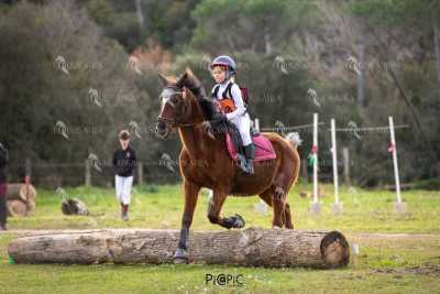 TREC02-06082024-564