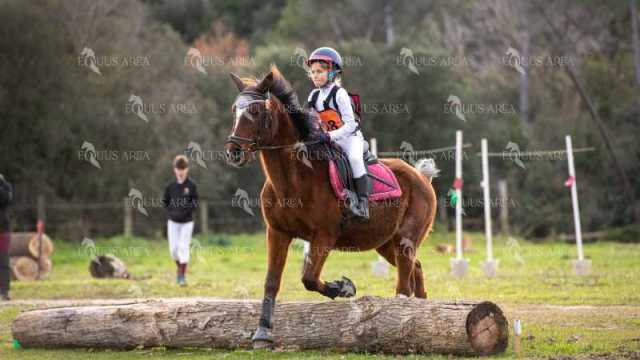 TREC02-06082024-564