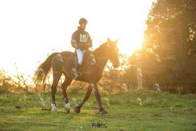 TREC02-06082024-57