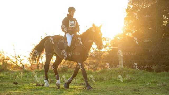 TREC02-06082024-57