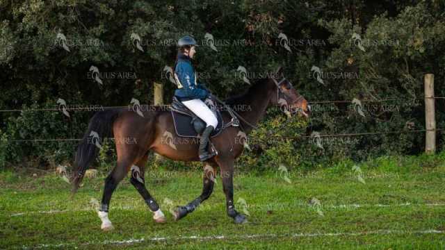 TREC02-06082024-58