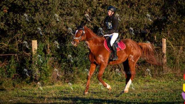 TREC02-06082024-59