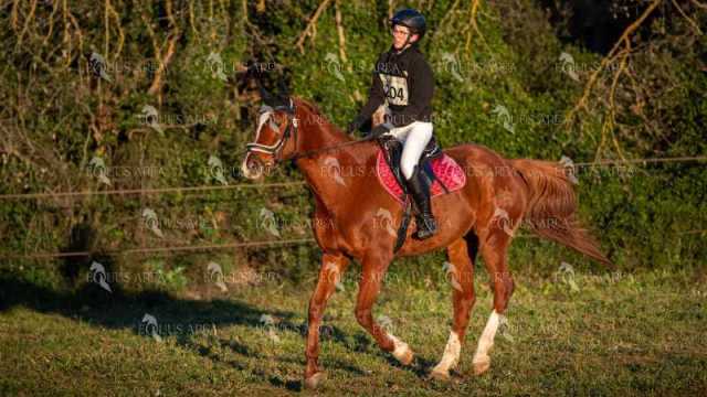 TREC02-06082024-60