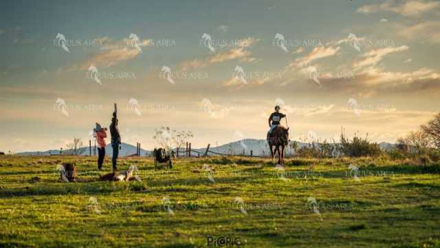 TREC02-06082024-62