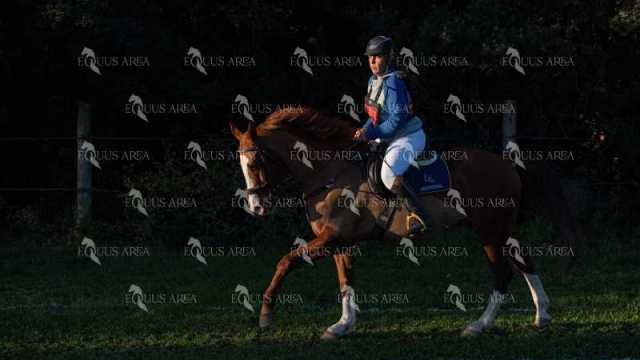 TREC02-06082024-65