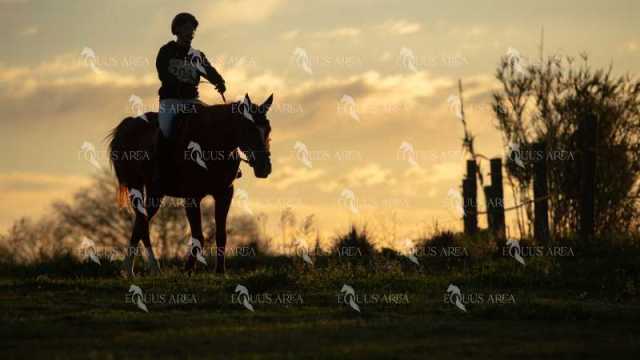 TREC02-06082024-66